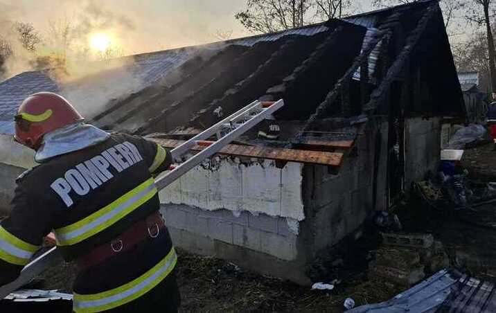 incendiul-devastator-la-un-adapost-de-animale-din-probota