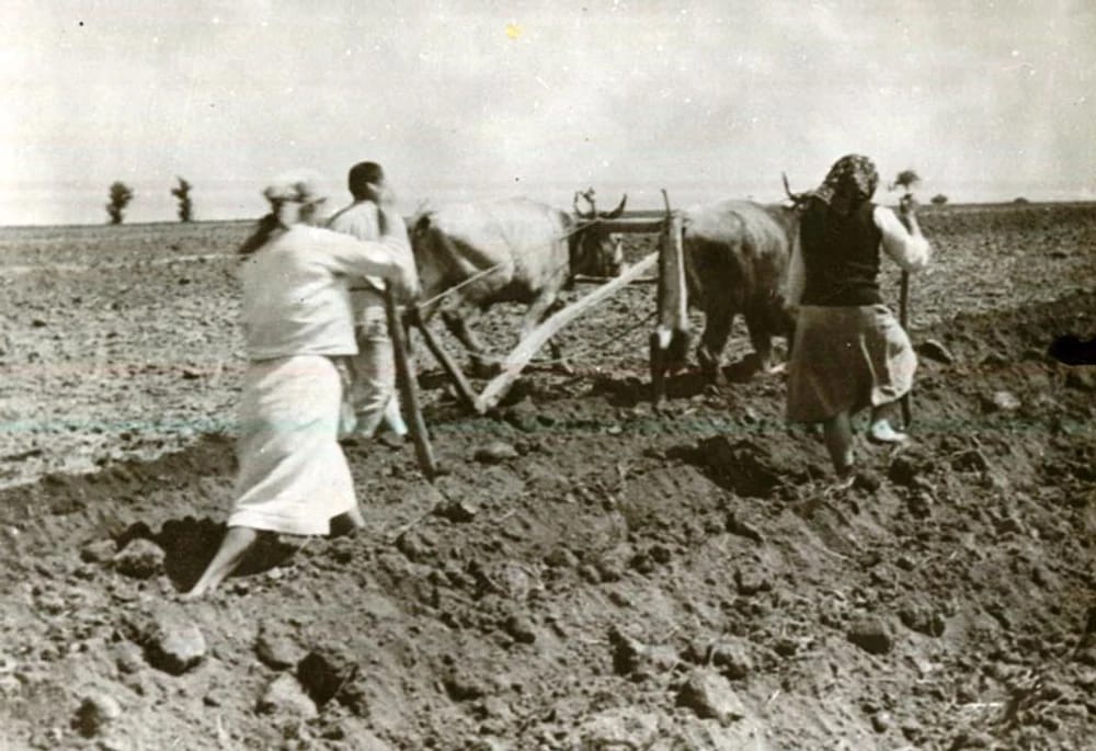 luciana-jinga,-istoric:-femeia-din-mediul-rural-a-fost-marea-pierzatoare-a-perioadei-comuniste