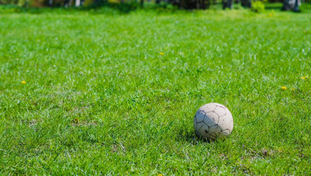 cum-se-aplica-ingrasamantul-pentru-un-gazon-perfect-primavara-aceasta?-(p)