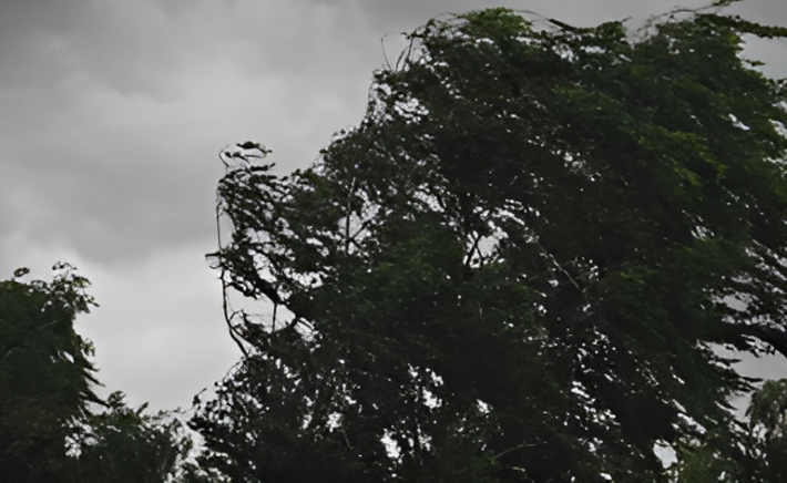 judetul-iasi-–-sub-cod-galben-de-ploi-si-intensificari-ale-vantului