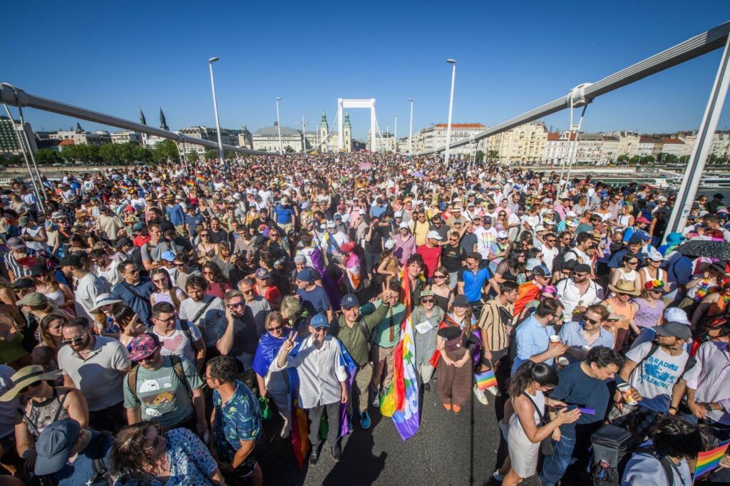nicu-stefanuta,-reprezentantul-oficial-al-parlamentului-european-la-budapest-pride-2025