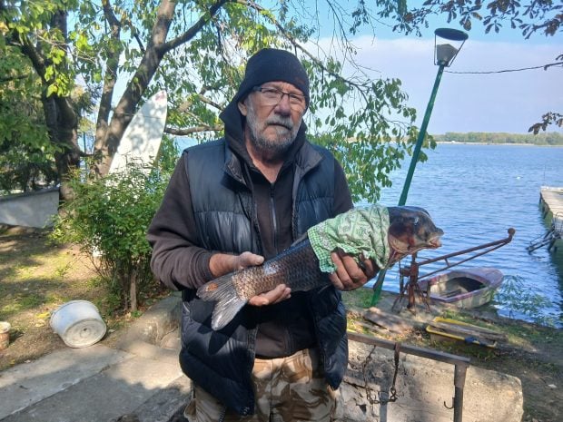 Pește mutant capturat în Dunăre aproape de Calafat – un fenomen rar și spectaculos