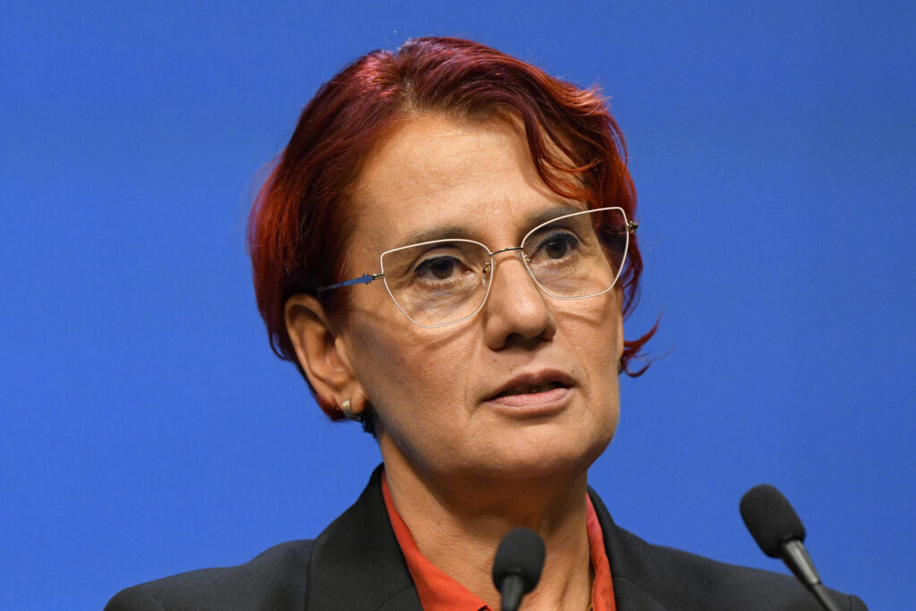 ioana-dogioiu,-despre-problema-cartilor-electronice-de-identitate:-solutia-este-ca-institutiile-publice-sa-si-achizitioneze-cititoare