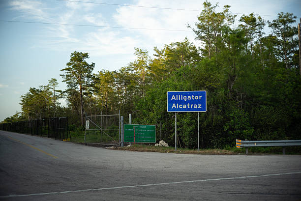 detalii-cutremuratoare-despre-abuzurile-din-alligator-alcatraz,-dezvaluite-intr-un-raport-amnesty-international