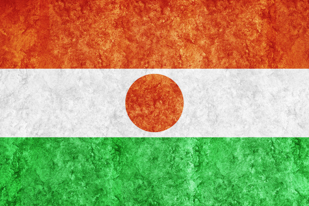 un-stat-african-declara-mobilizare-generala-impotriva-gruparilor-jihadiste
