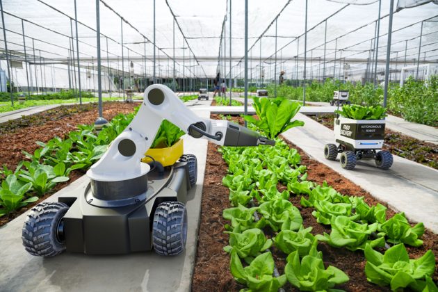 robotii-ies-din-fabrici:-transporturile,-agricultura-si-turismul-devin-tot-mai-automatizate.-topul-vanzarilor