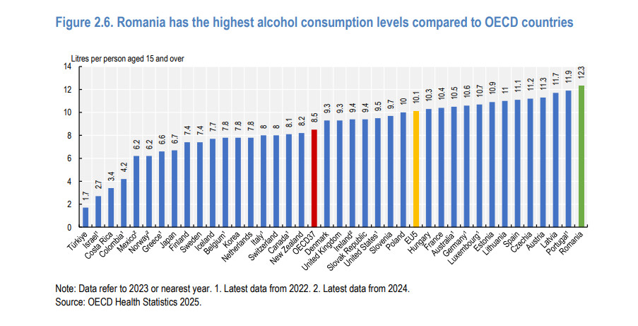 romania,-tara-cu-cel-mai-mare-consum-de-alcool,-cu-o-rata-foarte-mare-a-fumatului-si-a-mortalitatii-evitabile-/-raport-ocde