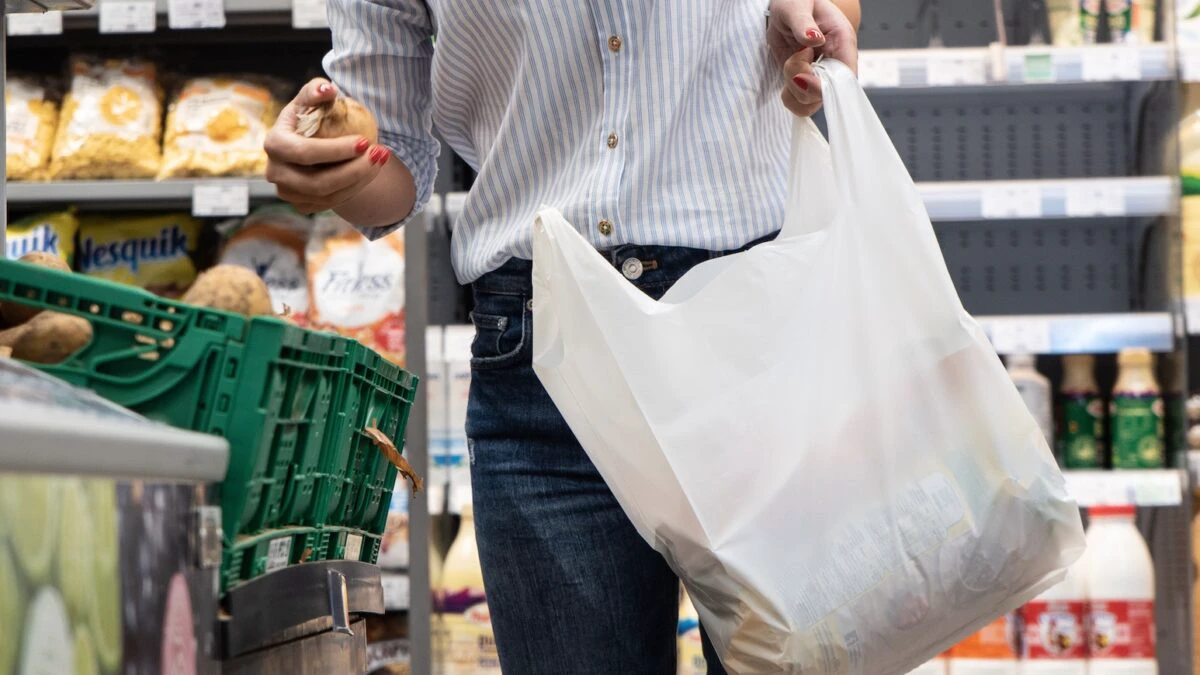 Impactul interzicerii pungilor de plastic în magazine asupra clienților și soluțiile alternative