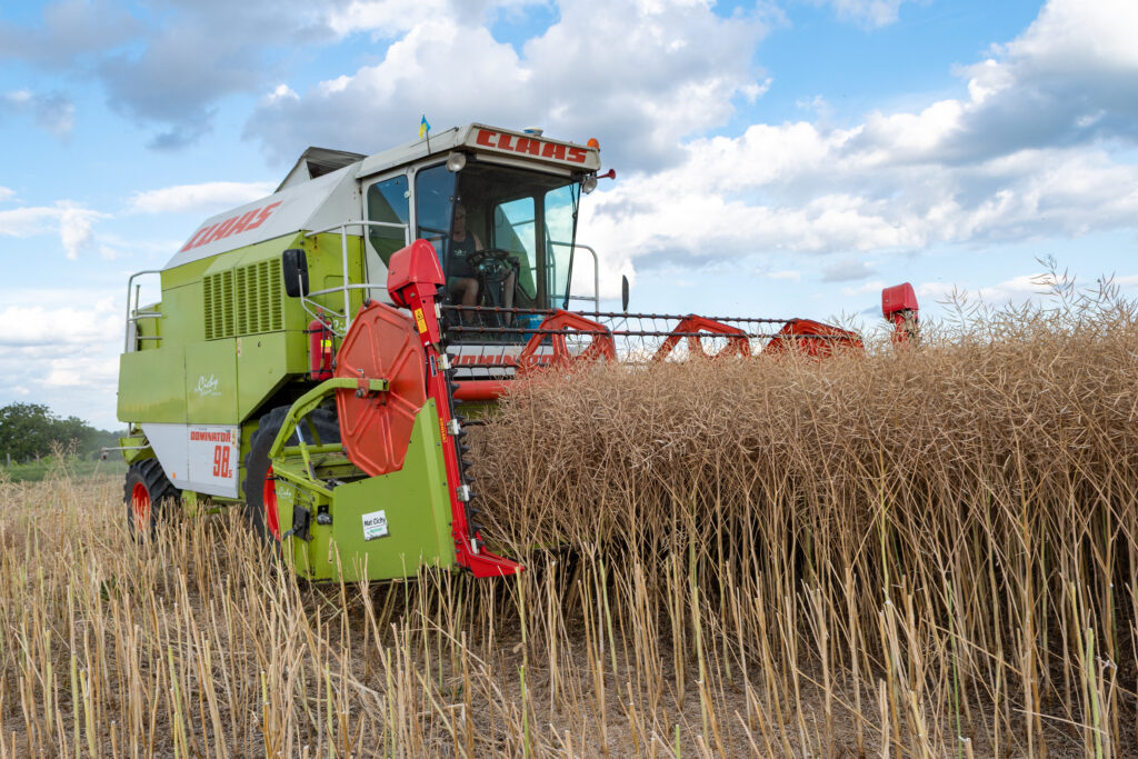 romania,-statul-ue-cu-cei-mai-multi-lucratori-in-agricultura