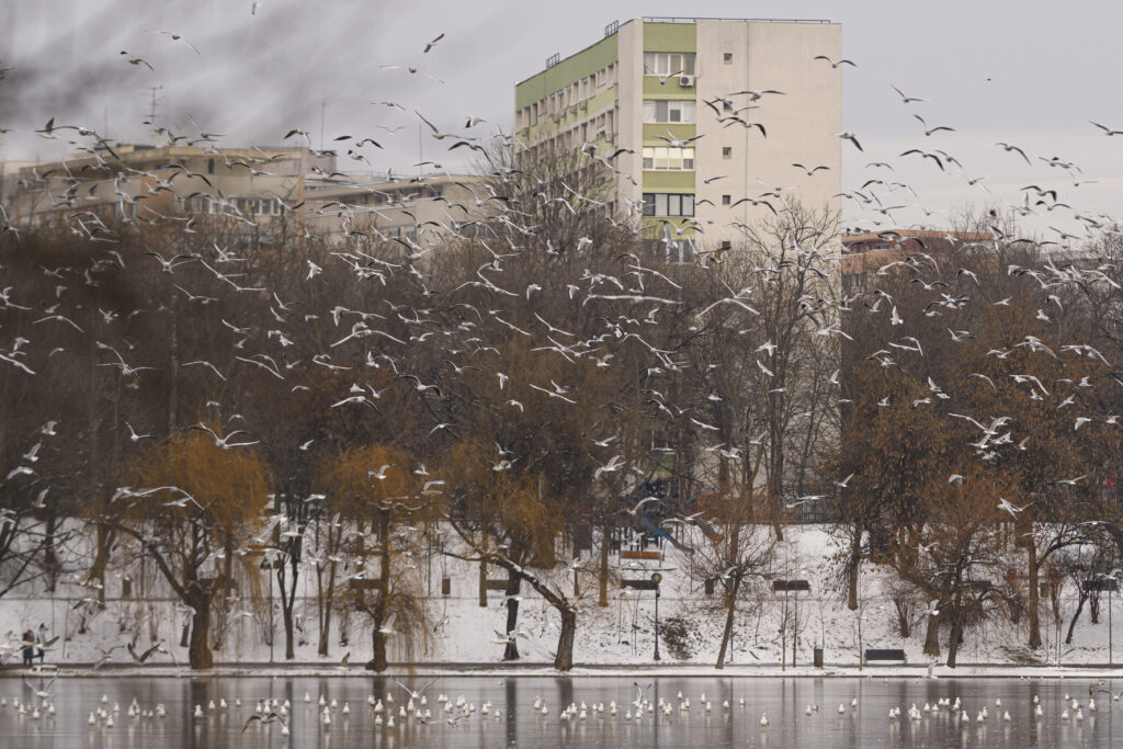 minus-12-grade-in-bucuresti.-capitala-intra-sub-cod-galben-de-frig