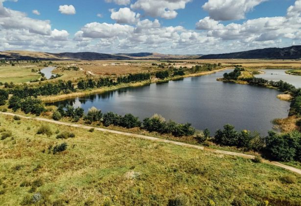 tranzactii-cu-terenuri-arabile-mari-de-8,8-milioane-de-euro-anul-trecut.-jumatate-din-suma-a-fost-generata-de-un-teren-pentru-nibiru,-proiectul-lui-selly