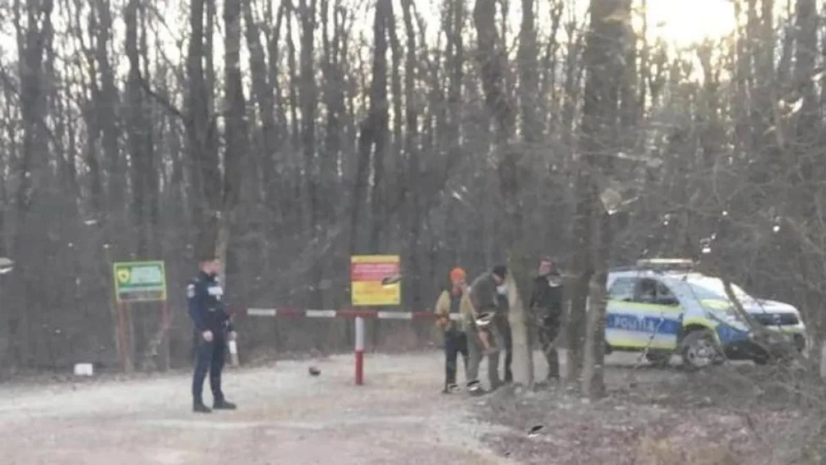 Ministerul Mediului: Extinderea drumului forestier din Pădurea Băneasa a fost realizată fără documentația legală și fără aprobări