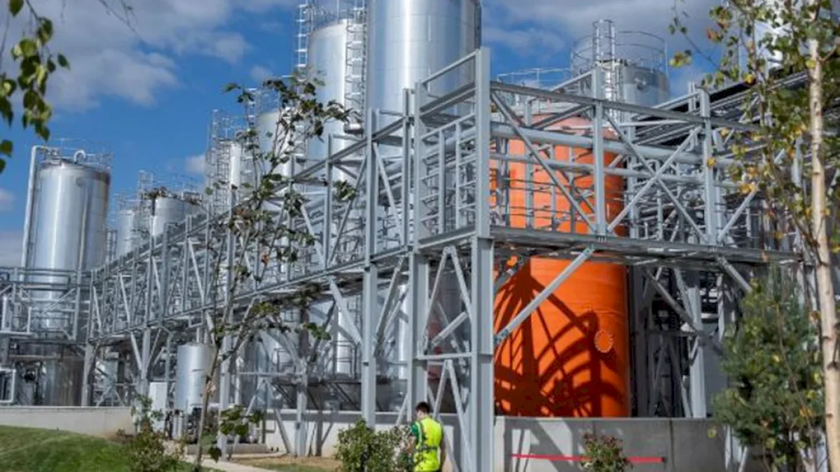 Majorare puternică de capital a gigantului american P&G în România. A adus peste 180 de milioane de lei la firmele sale din ţară