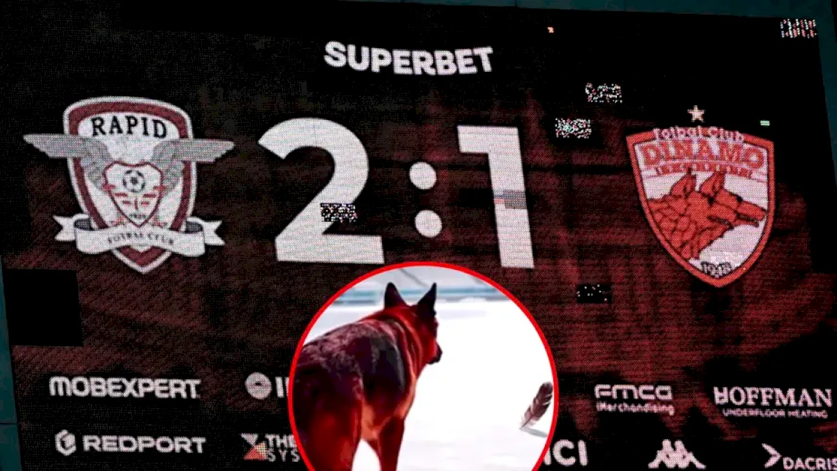 Dinamo a comis o greșeală în meciul cu Rapid din 2026