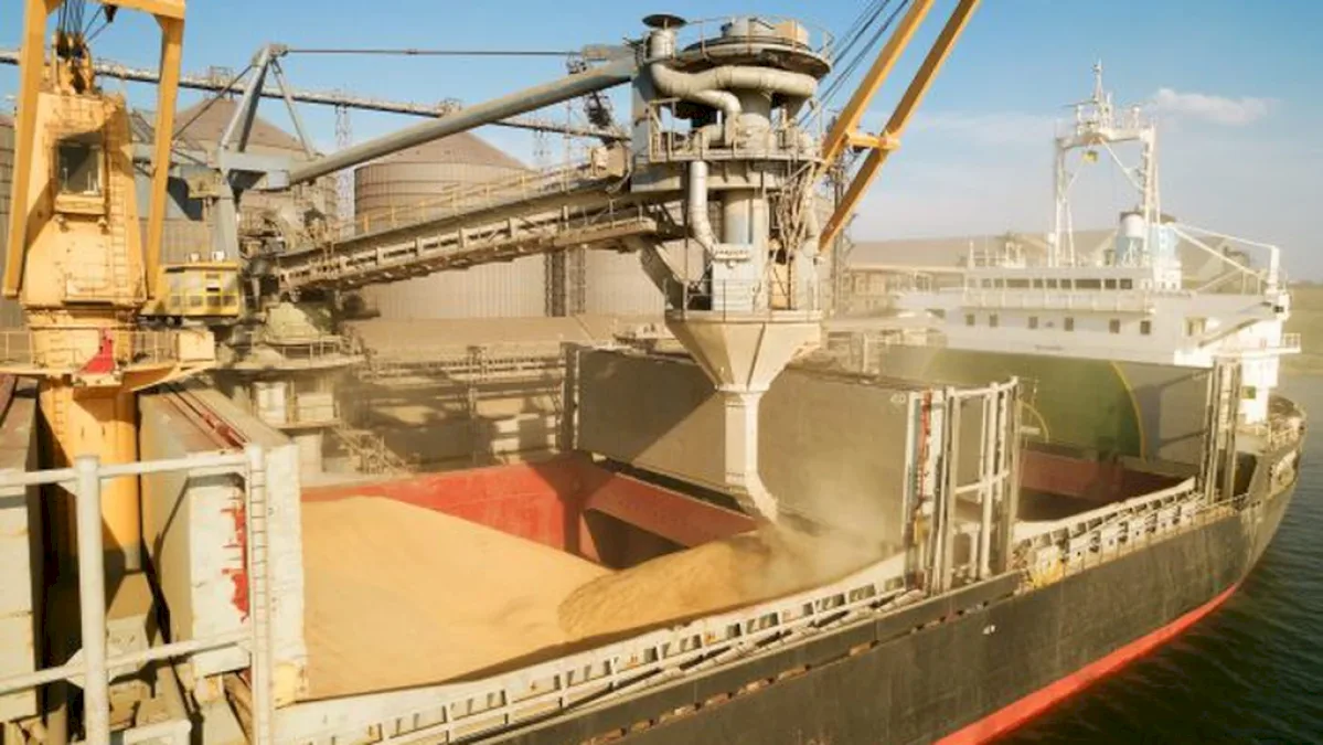 Cine mai exportă mâncare din România? Producătorii de țigări și traderii de cereale au dominat anul trecut topul exporturilor agroalimentare. Americanii de la CHS au scos Bunge din clasament