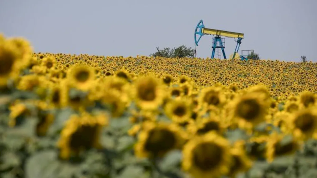 Ce profit estimează Petrom pentru acest an și câți bani ar putea câștiga dacă petrolul rămâne la 100 de dolari barilul