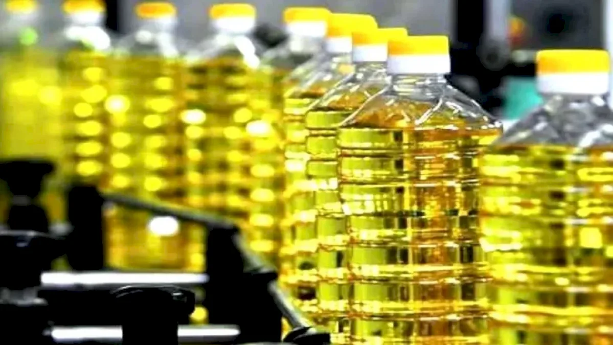 România produce ulei de floarea-soarelui din semințe argentiniene. Suntem cel mai mare importator european în acest an agricol