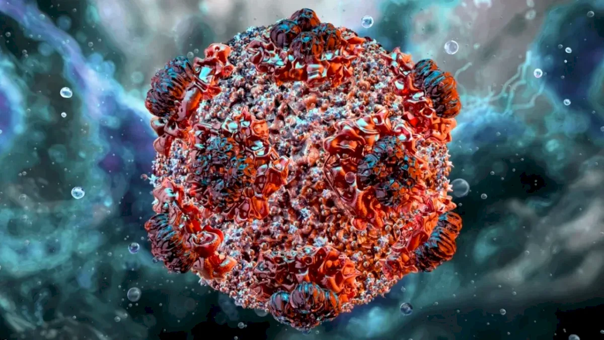 Care este perioada de incubație a hantavirusului. OMS: Acesta nu este coronavirusul. Este un virus foarte diferit