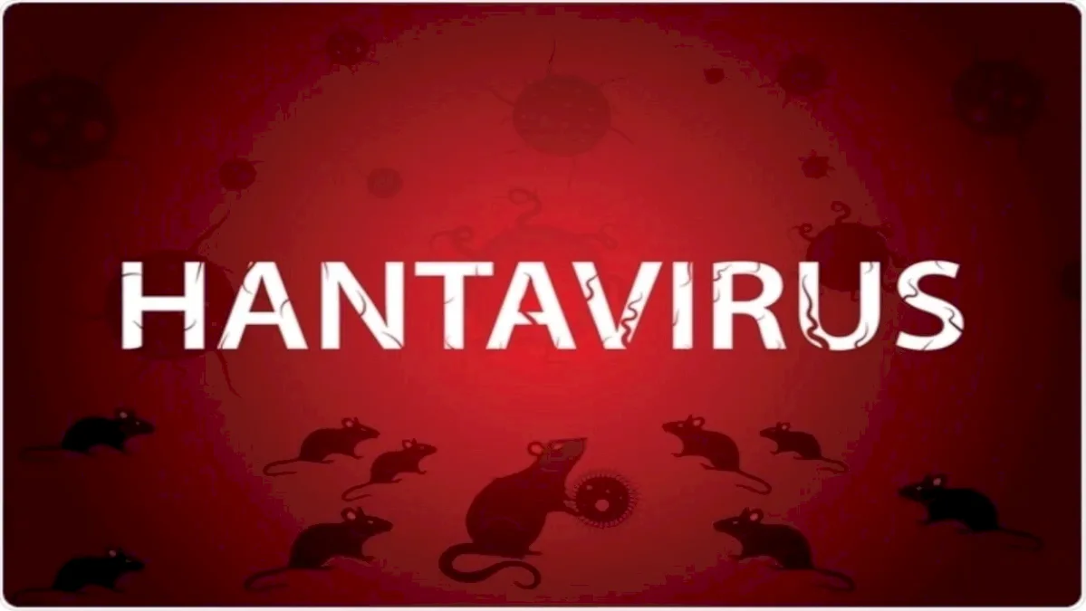 A avut loc evacuarea navei MV Hondius, la bordul căreia este un focar de hantavirus