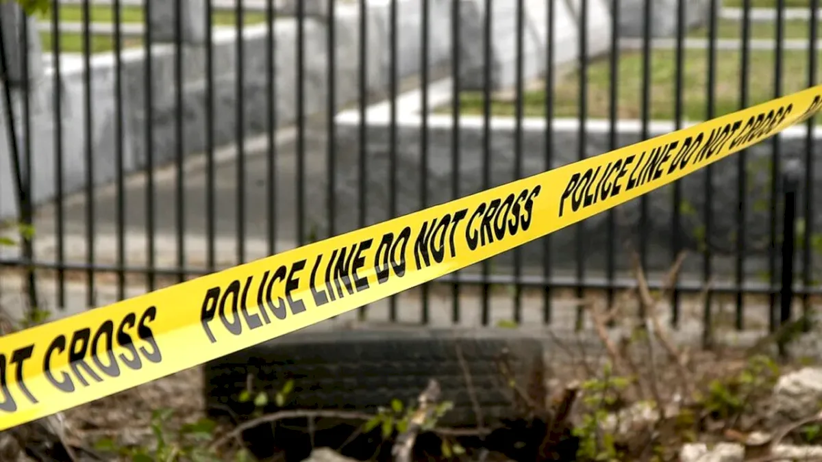 Cluj Woman Dies While Defending Her Daughter from Ex-Boyfriend, Who Had a Restraining Order