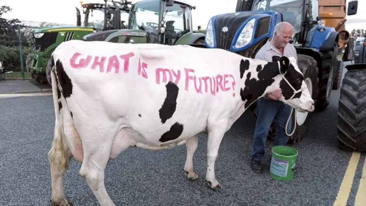 Producătorii de lapte pierd 1 leu la fiecare litru vândut. Holstein RO: Consumul scade dar păstrăm prețurile foarte mari la raft