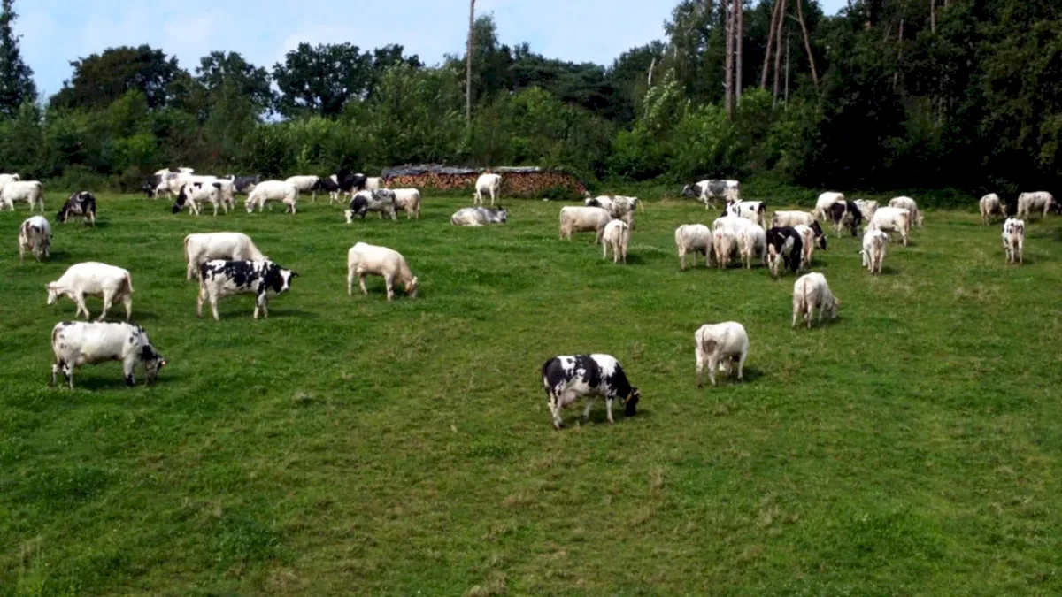 Austria își reformează sectorul agricol pentru o agricultură mai eficientă