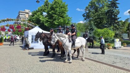 Poliția Locală din Iași plătește 160.000 de lei pentru pensiunea calailor
