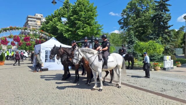 Poliția Locală din Iași plătește 160.000 de lei pentru pensiunea calailor