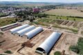 Grup Șerban Holding intră în insolvență și vinde ferme pentru 16,5 milioane euro