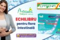 Obiceiuri pentru susținerea echilibrului intestinal în perioade aglomerate