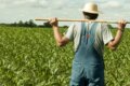 Interagroaliment, în insolvență, a acumulat datorii de peste 83,3 milioane euro