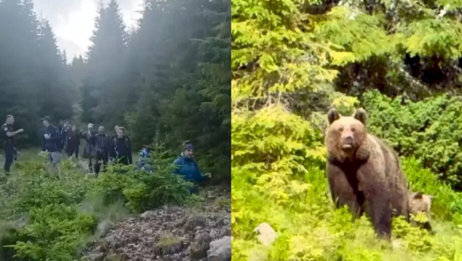 37 de turiști polonezi au fost coborâți de jandarmi de pe munte după întâlnirea cu ursoaica și puiul ei la Vatra Dornei