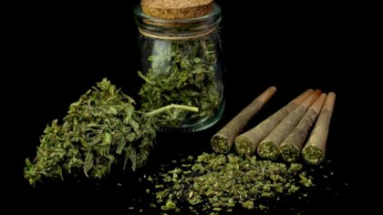 Judecătorii au iertat un consumator de canabis într-un caz judiciar