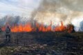 Incendii de vegetație în Delta Dunării s-au dublat anul trecut