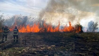 Incendii de vegetație în Delta Dunării s-au dublat anul trecut