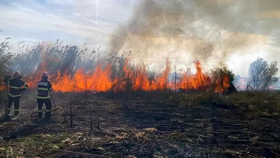 Incendii de vegetație în Delta Dunării s-au dublat anul trecut