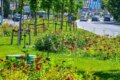 Primăriile de sector din București vor cheltui peste un miliard de euro pentru spațiile verzi