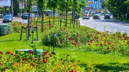 Primăriile de sector din București vor cheltui peste un miliard de euro pentru spațiile verzi