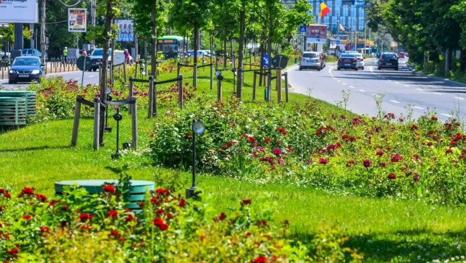 Primăriile de sector din București vor cheltui peste un miliard de euro pentru spațiile verzi