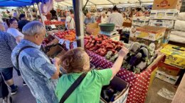 Prețul kilogramului de vinete în piețe și cozi pentru salata de vară