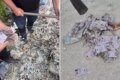 Mii de permise românești găsite într-o groapă de gunoi din Moldova